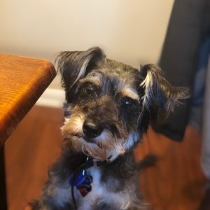 Meet your Posher, Abel